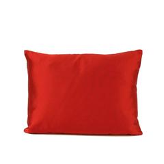 Hand-Painted Silk Pillow