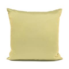 Hand-Painted Silk Accent Pillow with Helix Motif