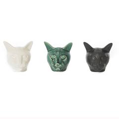 Cat Head Tryptic