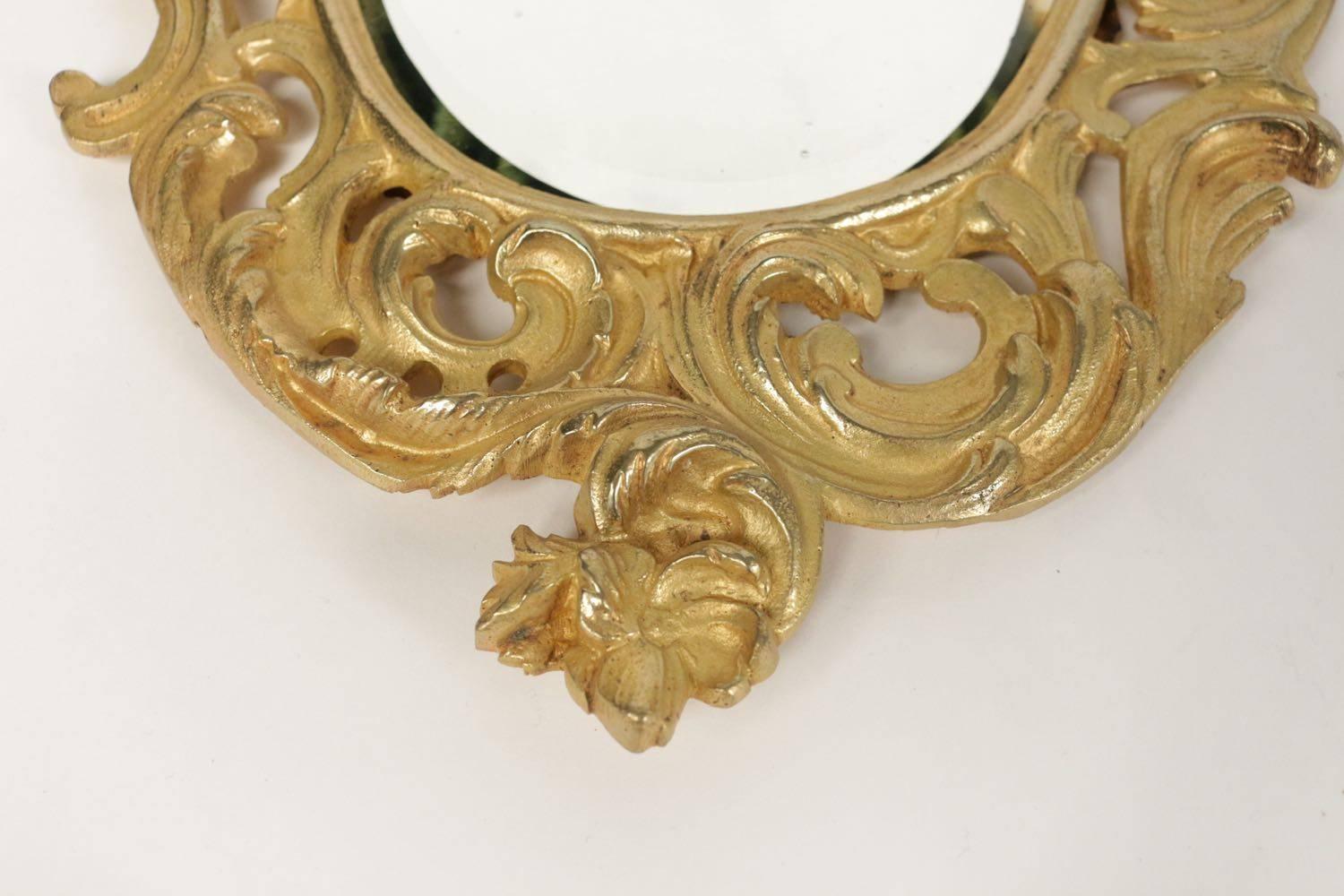 French Pair of Gold Gilt Bronze Mirrors from the 19th Century