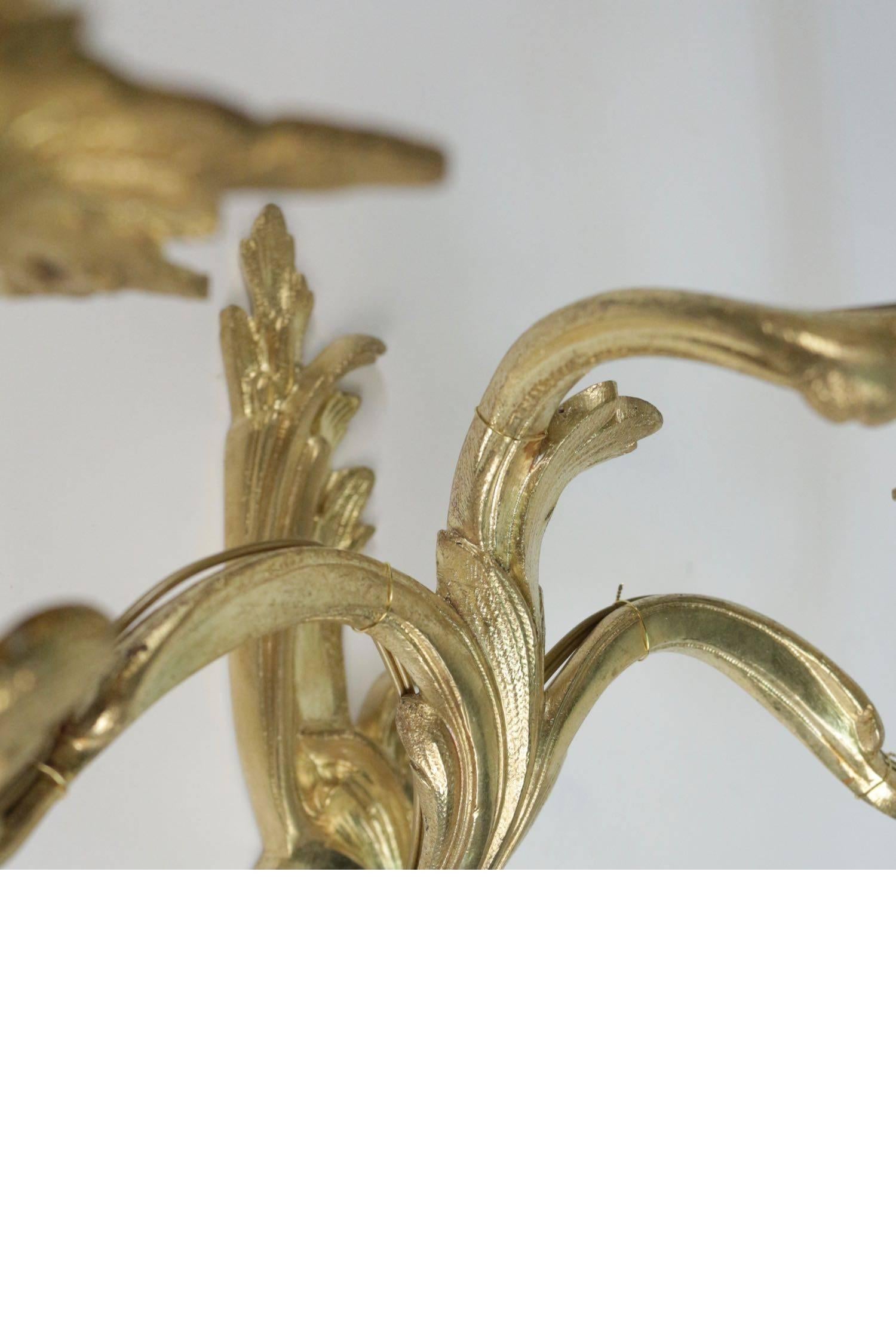 Pair of Louis XV Style Three Armed Sconces in Gold Gilt Bronze 1