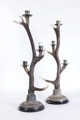 Pair of Candelsticks of Deer Horns in Silver Plate