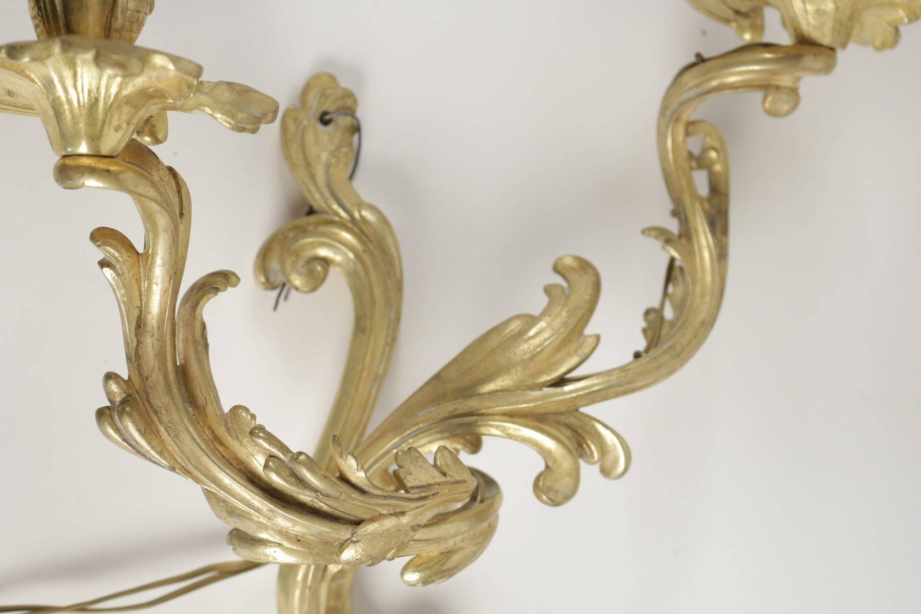 Gilt Pair of Bronze Doré Sconces in the Style of Louis XV from the 19th Century