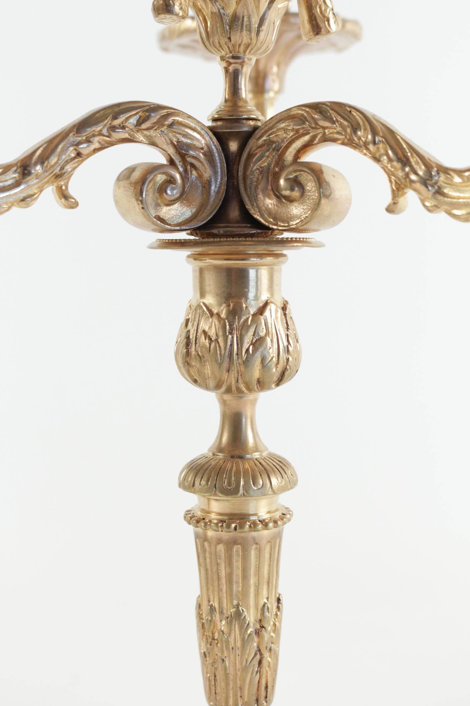 Pair of Candelabra in the Style of Louis XV in Gold Gilt Bronze, 19th Century 6