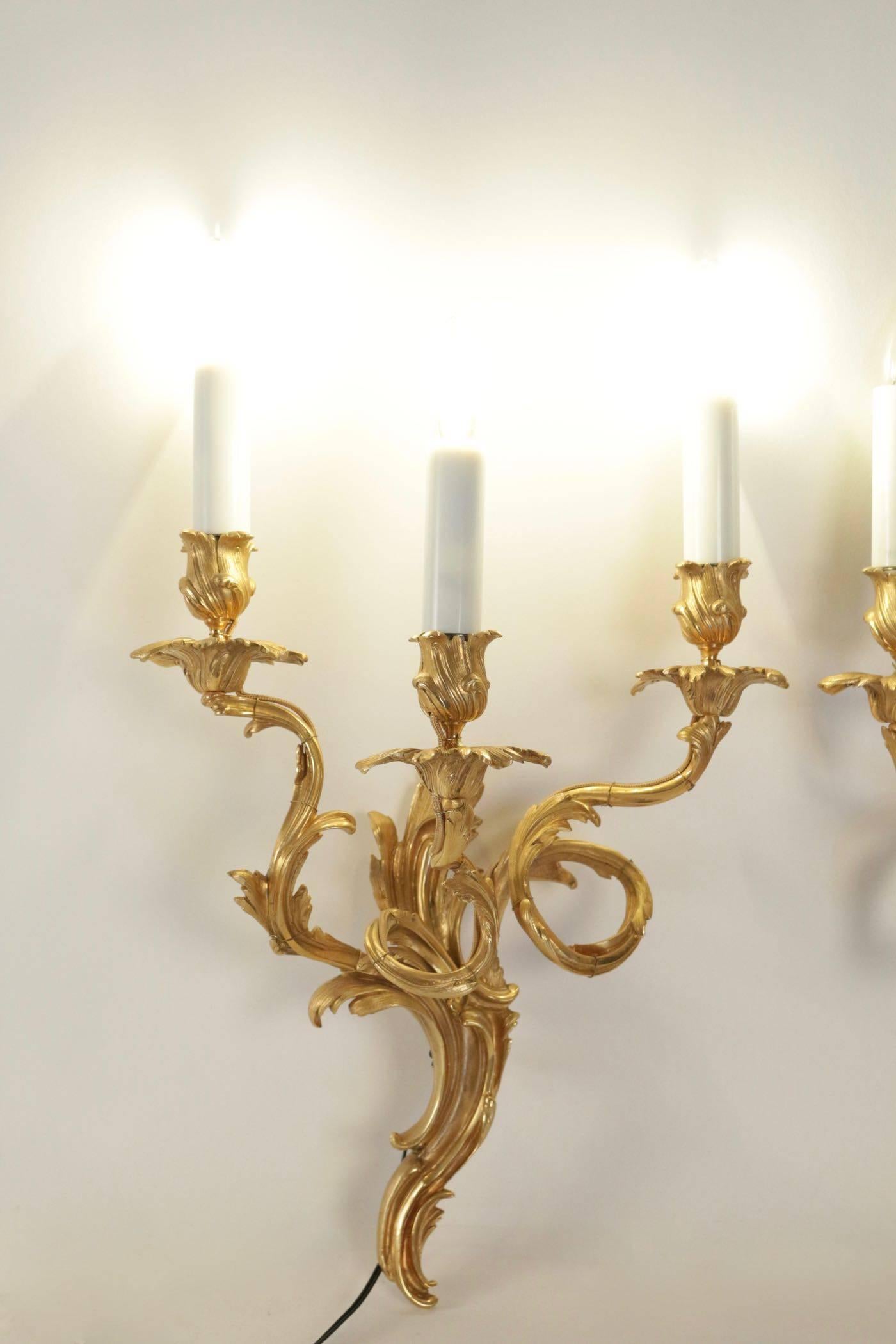 French Pair of Sconces in Gold Gilt Bronze Louis XV Style, 19th Century