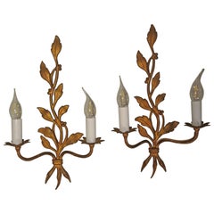 Pair of Mid-Century Modern Gold Gilt Bronze Sconces in a Leaf Design, circa 1960