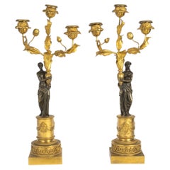 Coppia di candelabri in bronzo dorato e patinato, periodo Luigi XVI, XVIII secolo.