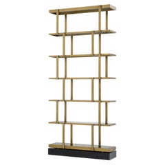 Cabinet in Brushed Brass Finish and Smoked Glass