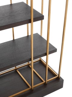 Cabinet in Coffee Oak Veneer and Brushed Brass Finish, Contemporary Style