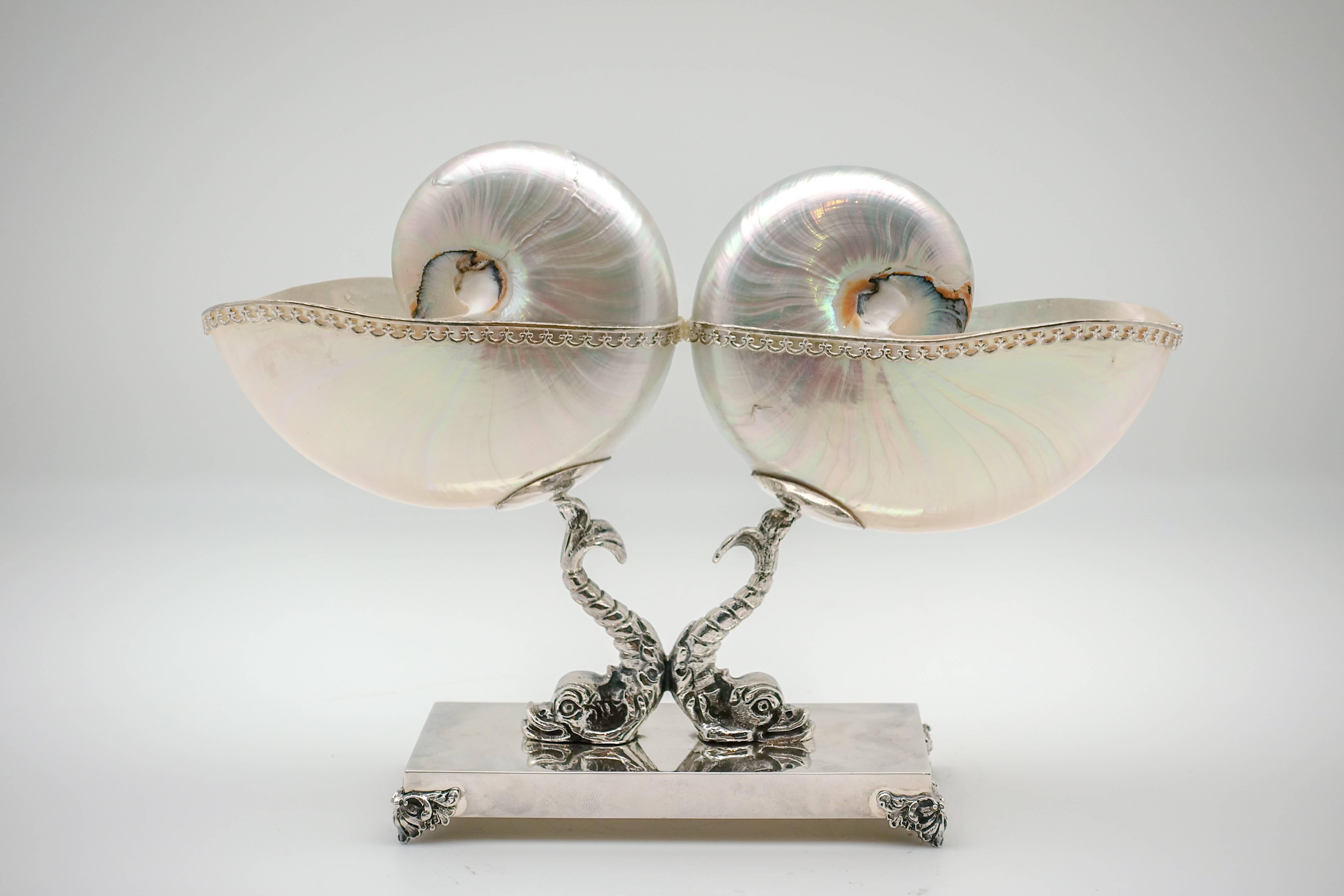 What could be better than a mother of pearl Nautilus? Two mother of pearl nautilus shells. Edged in a pierced, Italian sterling silver design, they are mounted on a triton base for a pleasing display of natural beauty.
Handmade in Rome, Italy.