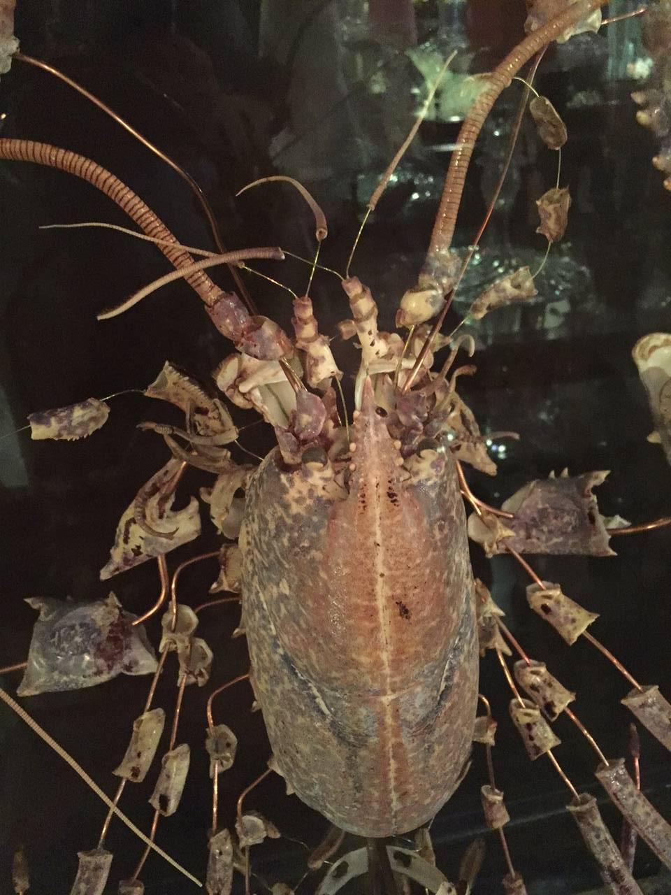 Napoleon III Large French Deconstructed Clawed Lobster Sculpture in a Glass and Brass Case