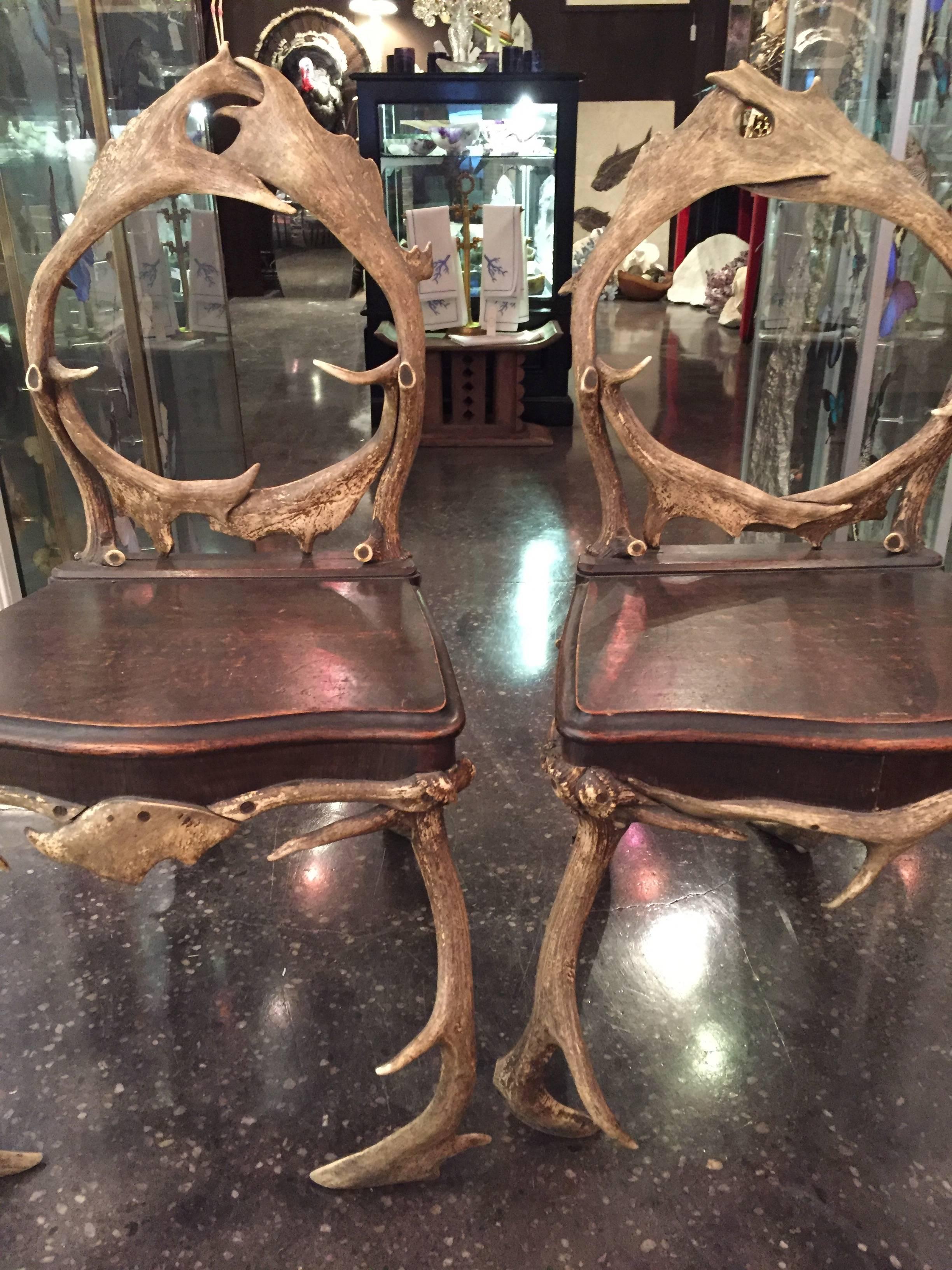 Pair of French 19th Century Antler and Oak Wood Chairs In Good Condition In New York, NY