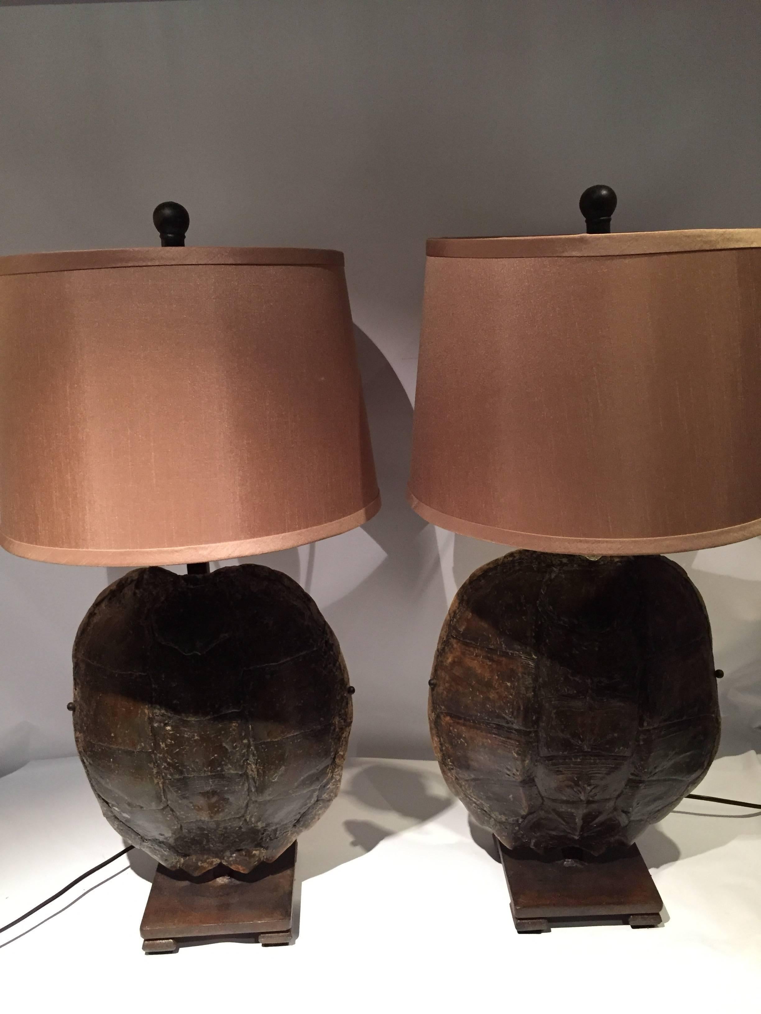Beautiful pair of mounted turtle shell and iron lamps with tan silk lampshades. Electrified with a single light bulb socket.