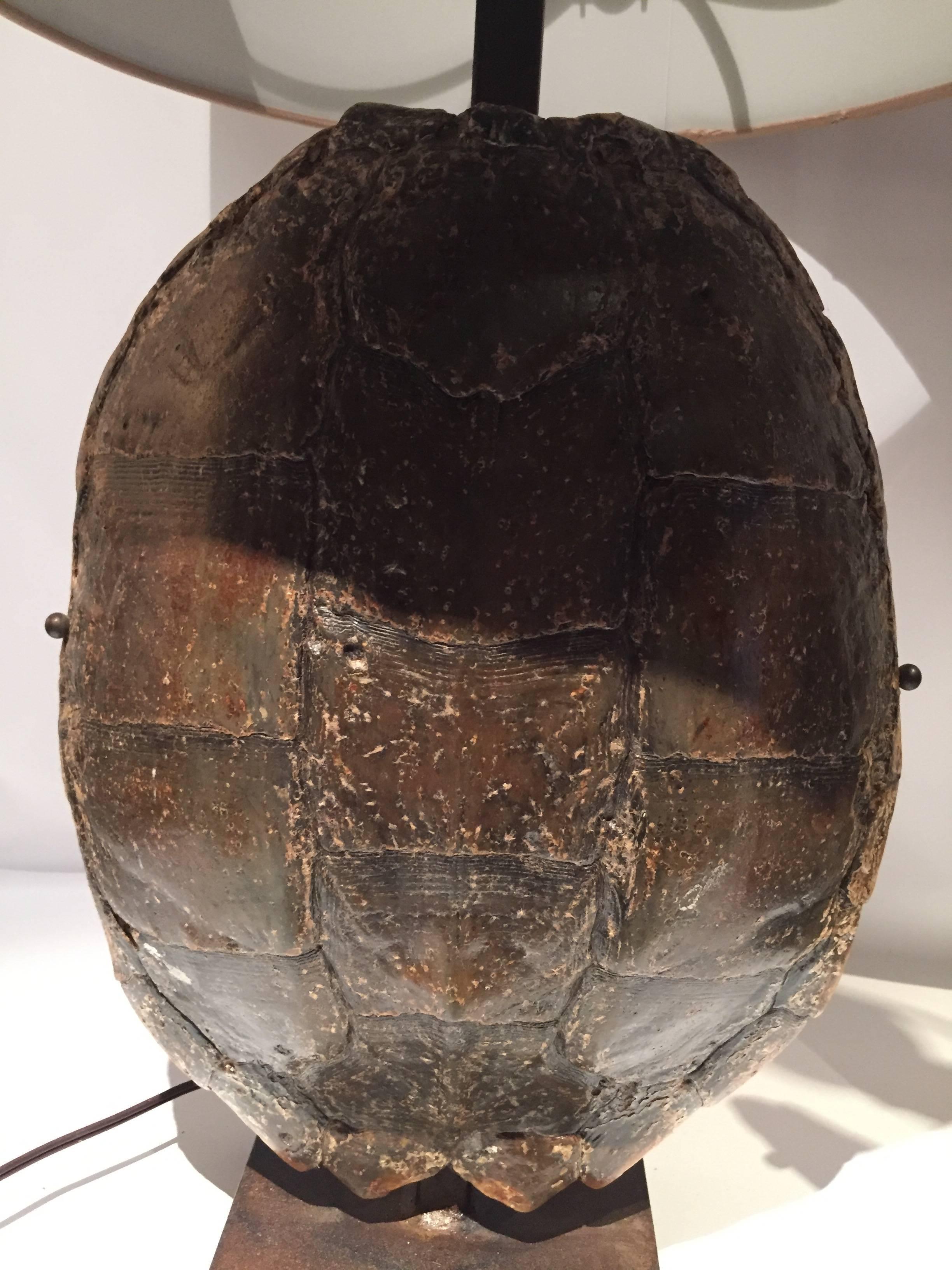 Contemporary Pair of Turtle Shell and Iron Lamps