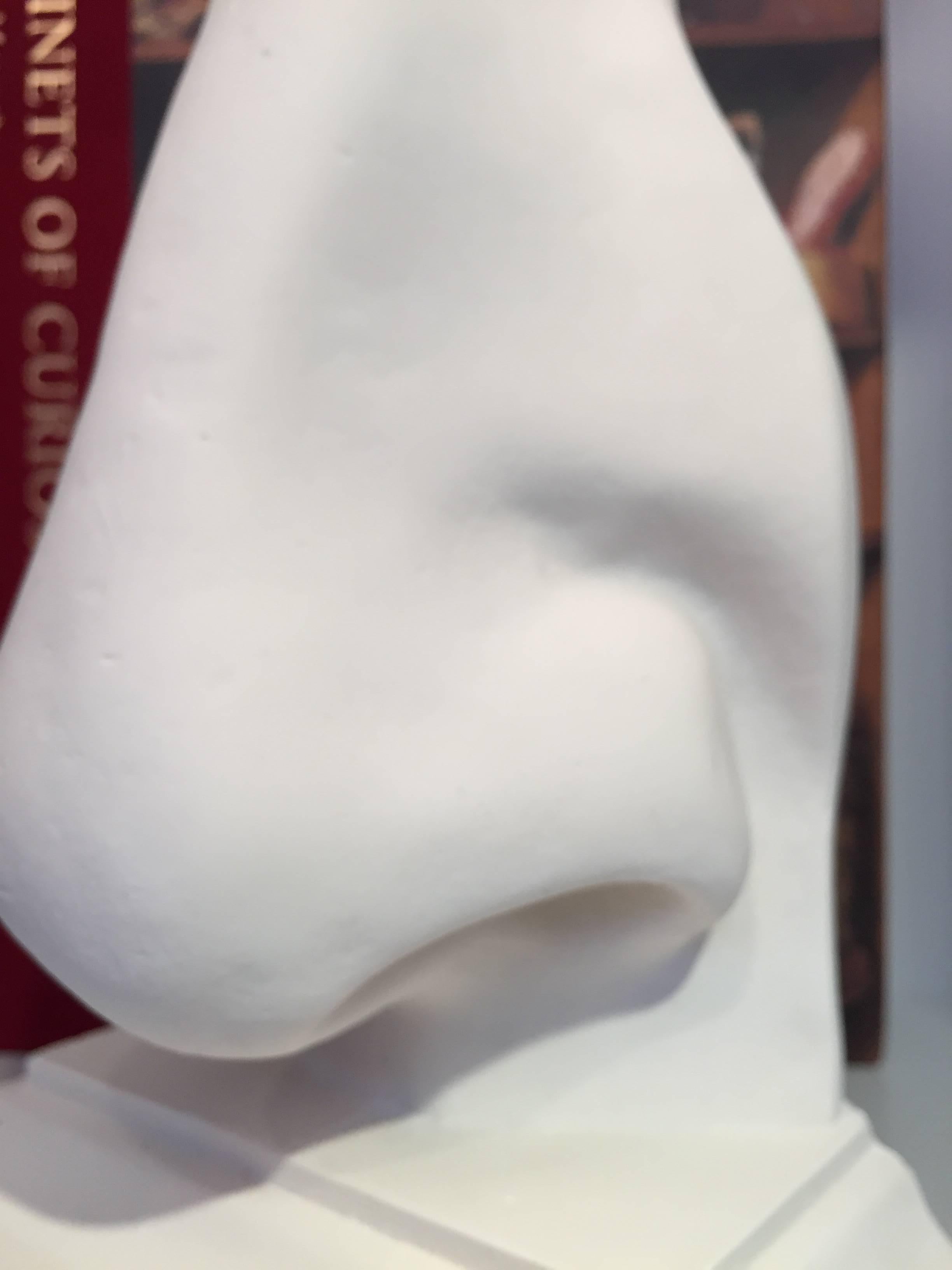 Molded Nose Bookend