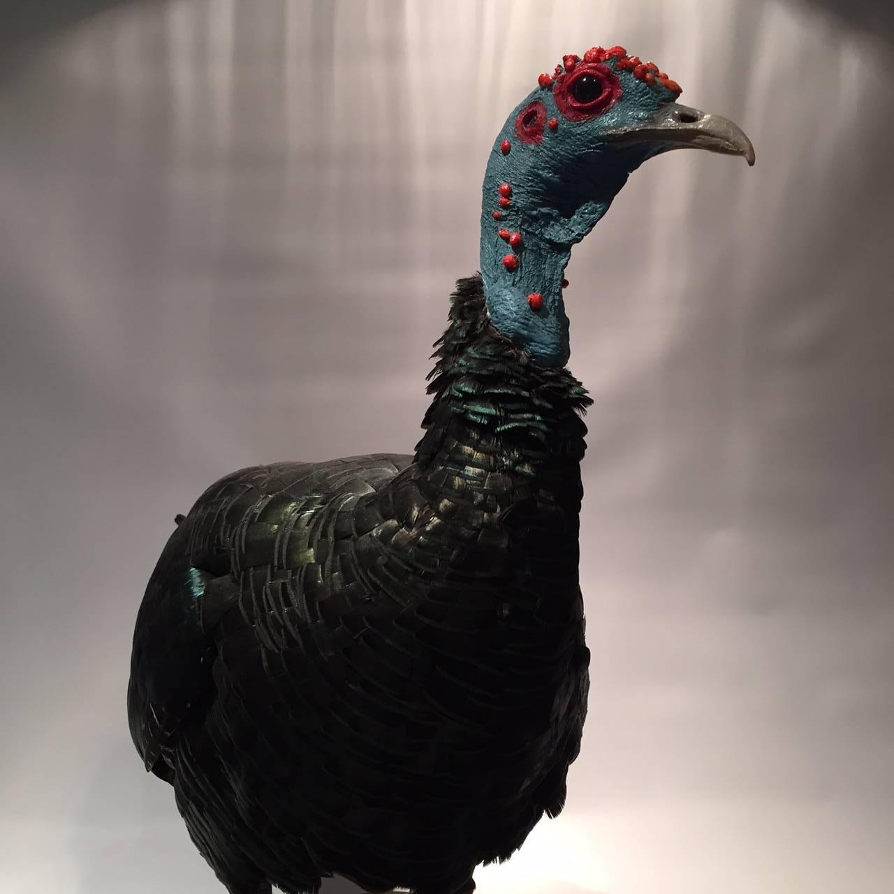 Ocellated Turkey Taxidermied Specimen  In Good Condition In New York, NY