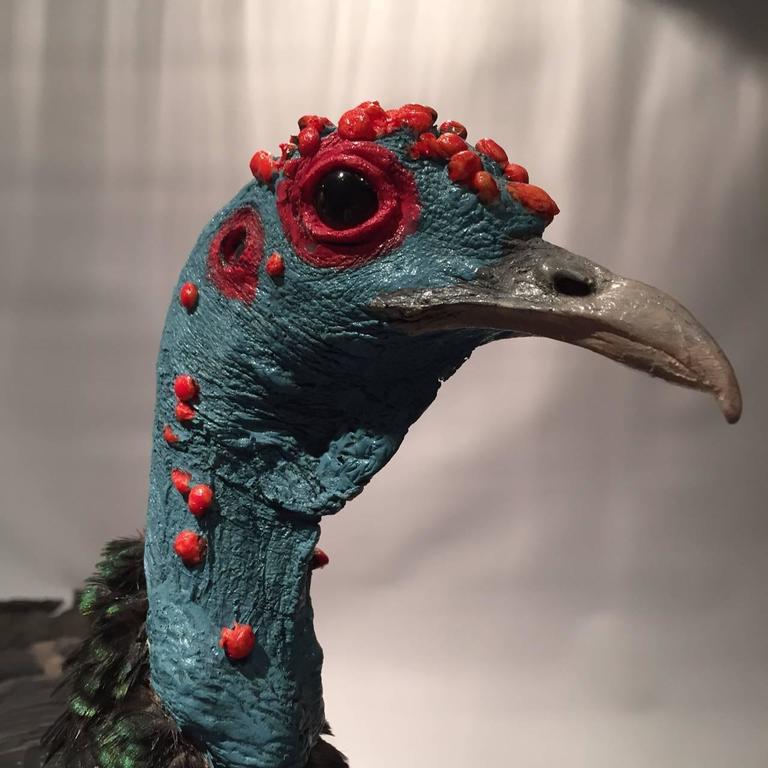 Ocellated Turkey Taxidermied Specimen For Sale at 1stdibs