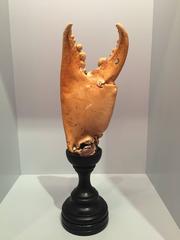 Mounted Maine Lobster Claw