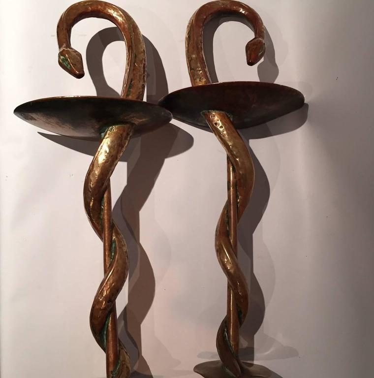 Early 20th Century Bronze Snake French Pharmacy Door Handles at 1stDibs