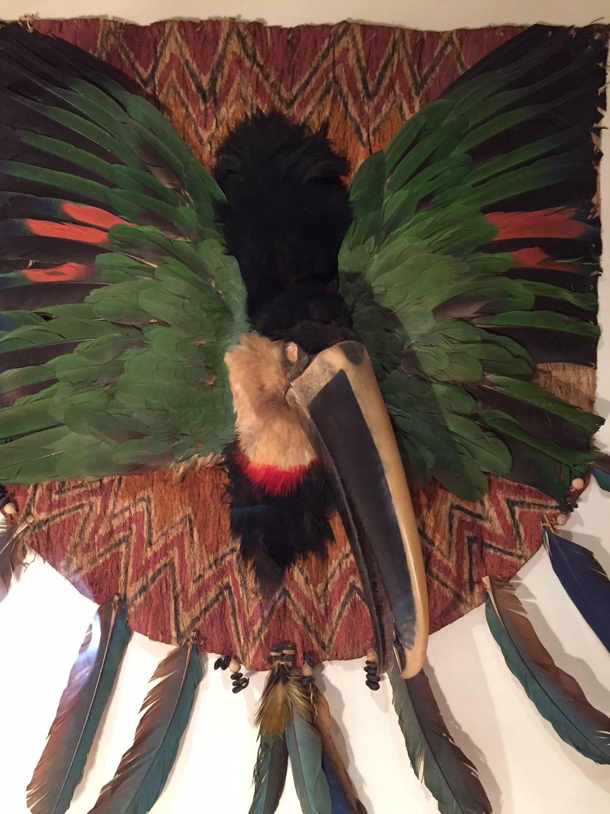 Toucan head and wing feather breastplate from Ecuador, possibly from the Jivaroan peoples, early to mid-20th century, comprised of painted bark cloth, seeds, toucan wing feathers and head with beak mounted in a black shadow box with a plexiglas