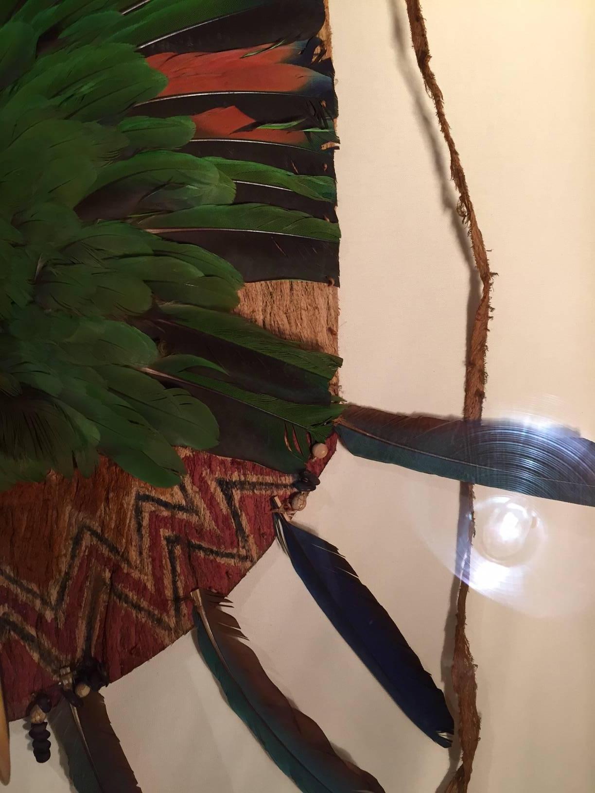 Tribal Toucan Bird Head and Feather Breastplate, Jivaroan People, Ecuador S. American