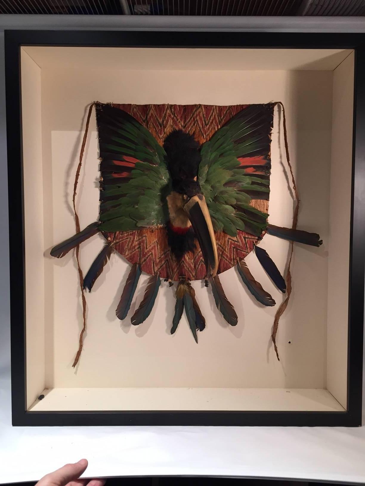 Ecuadorean Toucan Bird Head and Feather Breastplate, Jivaroan People, Ecuador S. American