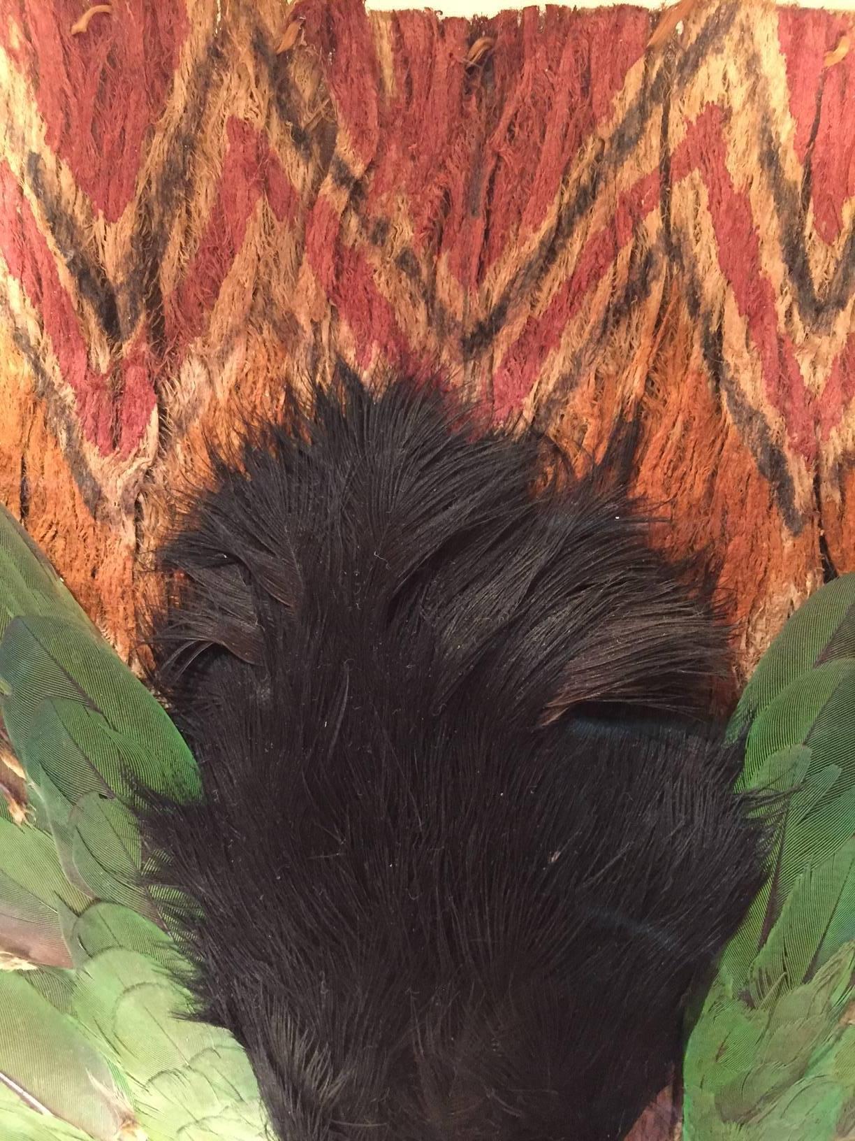 toucan feathers
