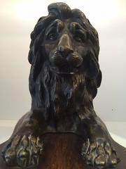 Large 19th Century French Grand Tour Bronze Recumbent Lion on Carved Wood Base