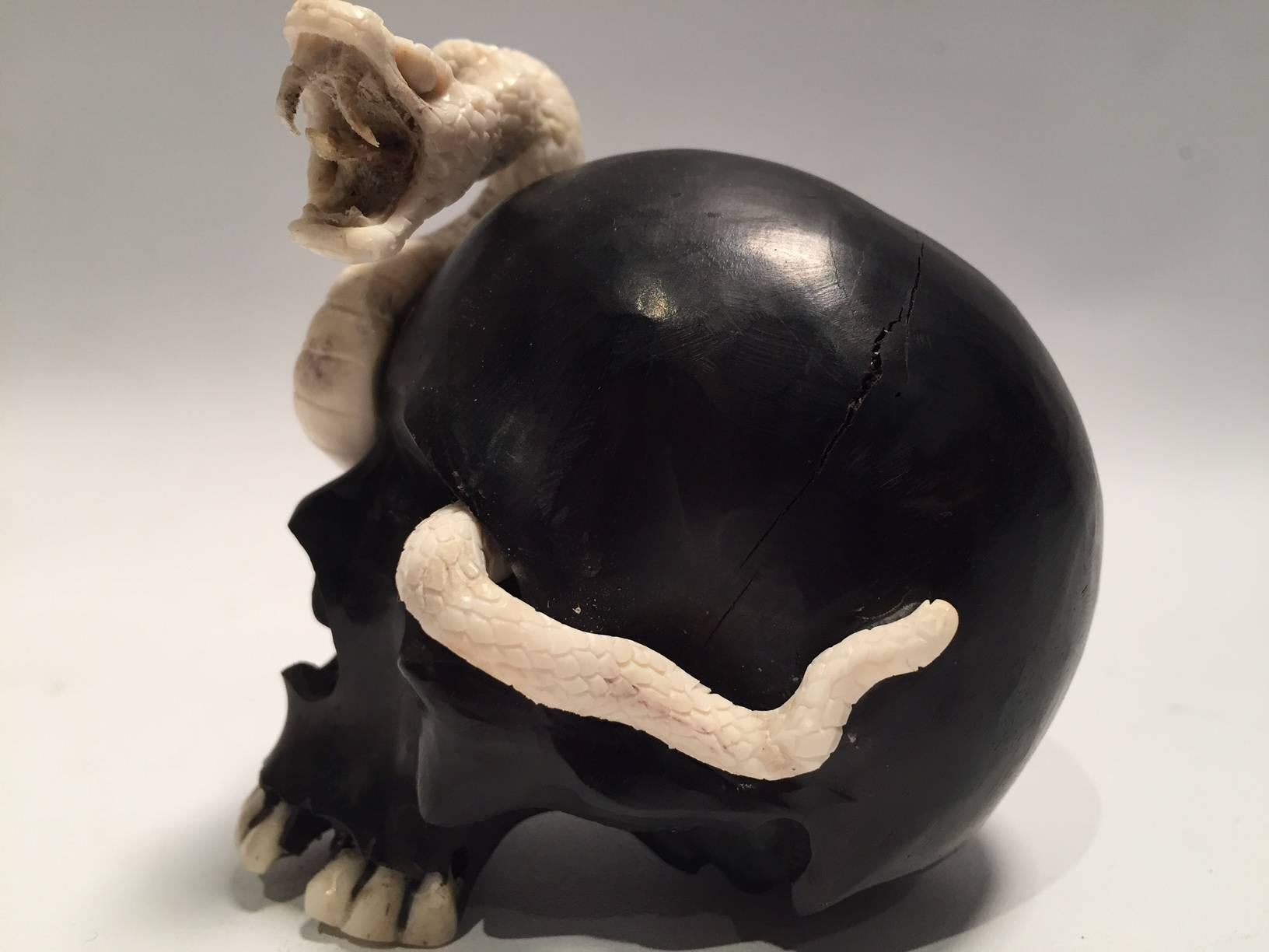 Beautifully sculpted wood skull with an intertwined carved moose antler snake. Meticulously created by skilled Indonesian artist this is a one of a kind piece made exclusively for Creel and Gow.