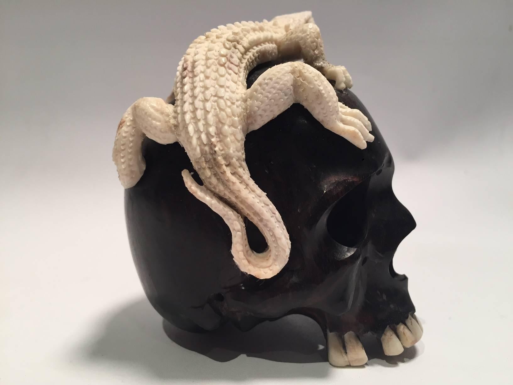 Beautifully sculpted wood skull with a carved moose antler bearded dragon. Meticulously created by skilled Indonesian artist this is a one of a kind piece made exclusively for Creel and Gow.