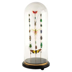 „Totems II“ von Hasharat – Entomologische Skulptur unter einer Glaskuppel aus dem 19. Jahrhundert