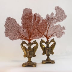 Large Red Sea Fans on 19th-Century Italian Carved Giltwood Bird-Form Urn Bases