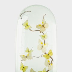 Spun Sugar by Hasharat Butterfly Specimen Display Under Glass Dome