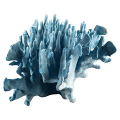 Sculptural Indo-Pacific Blue Coral Specimen with Intricate Branching Formation