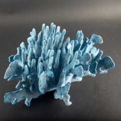 Sculptural Indo-Pacific Blue Coral Specimen with Intricate Branching Formation