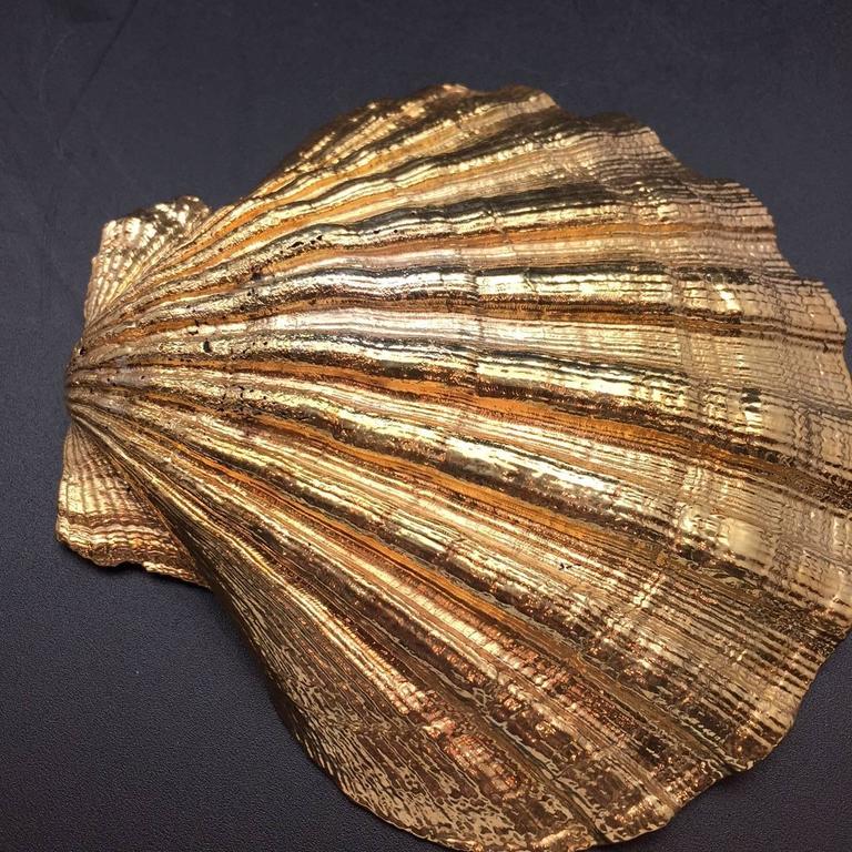 Creel and Gow Gold-Plated Pecten Shell, Symbol of Pilgrims and of ...