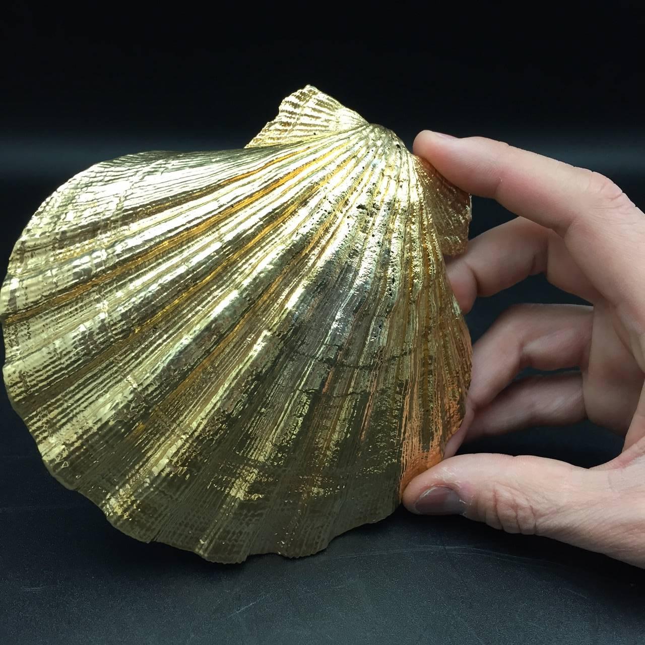 Organic Modern Creel and Gow Gold-Plated Pecten Shell, Symbol of Pilgrims & of Emblem of James