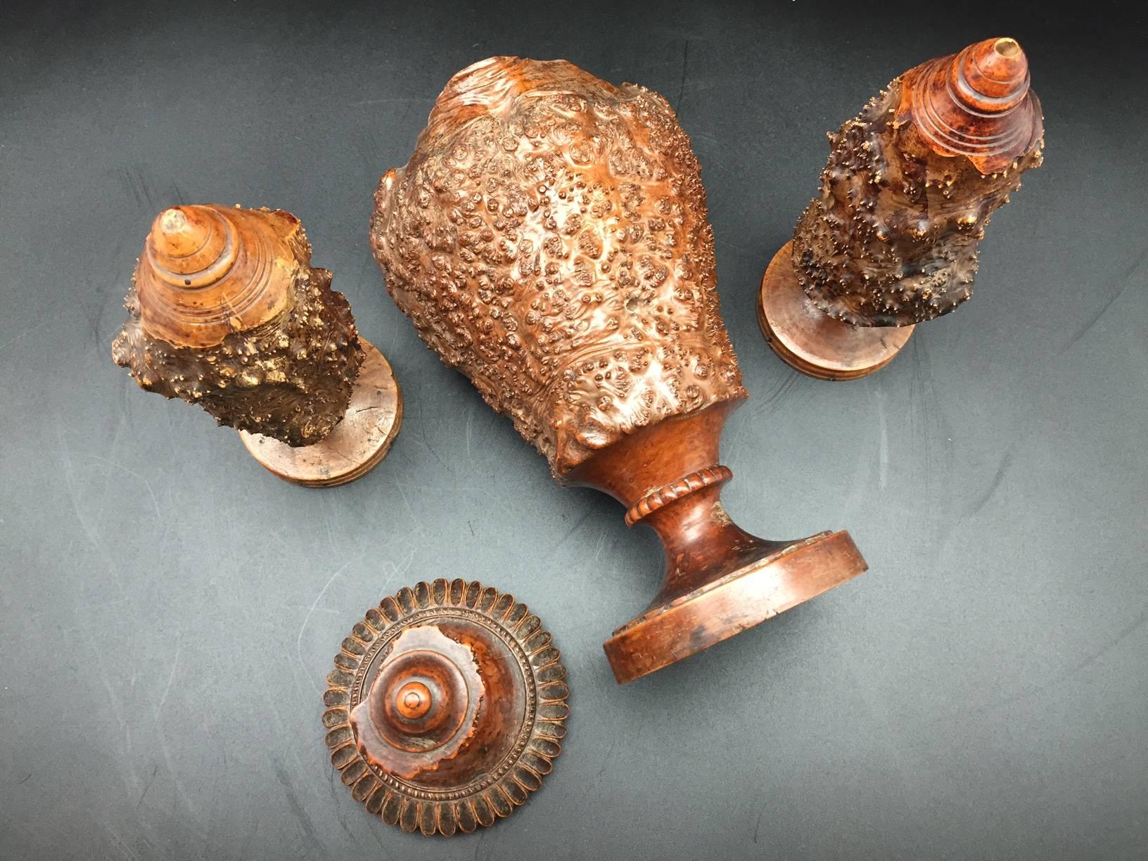 Burr or Burl Wood 19th Century European Garniture Set of Three Turned Jars In Good Condition In New York, NY