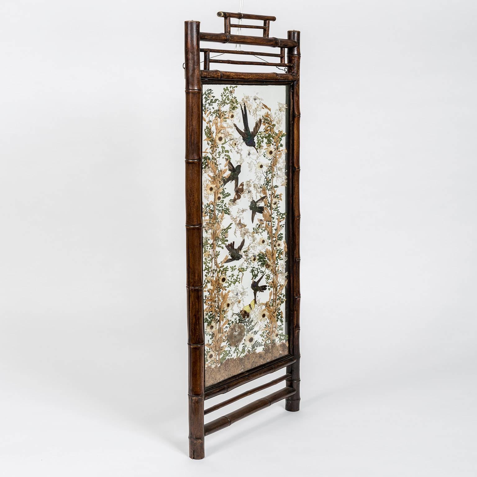 A pair of 19th century hummingbird taxidermy screens, in bamboo Japanese- style frames probably dating from the last quarter of the 19th century when the aesthetic influence of Japan was very much in vogue. They were created by the renowned London