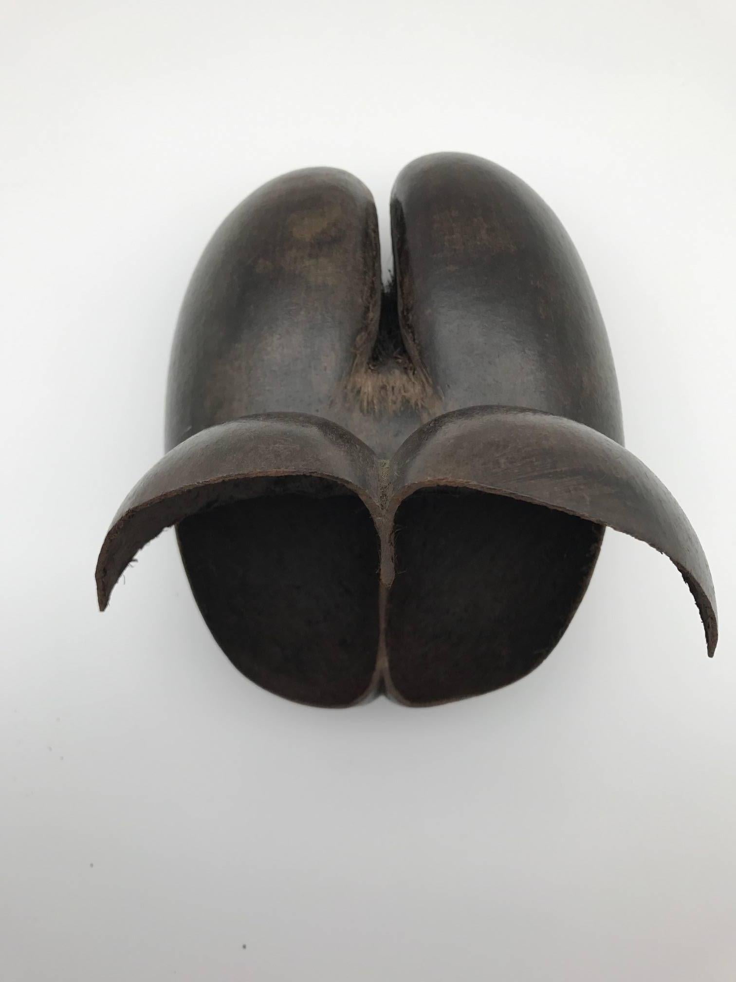 20th Century Coco De Mer Naturally Anthropomorphically Shaped Hinged Box from the Seychelles 
