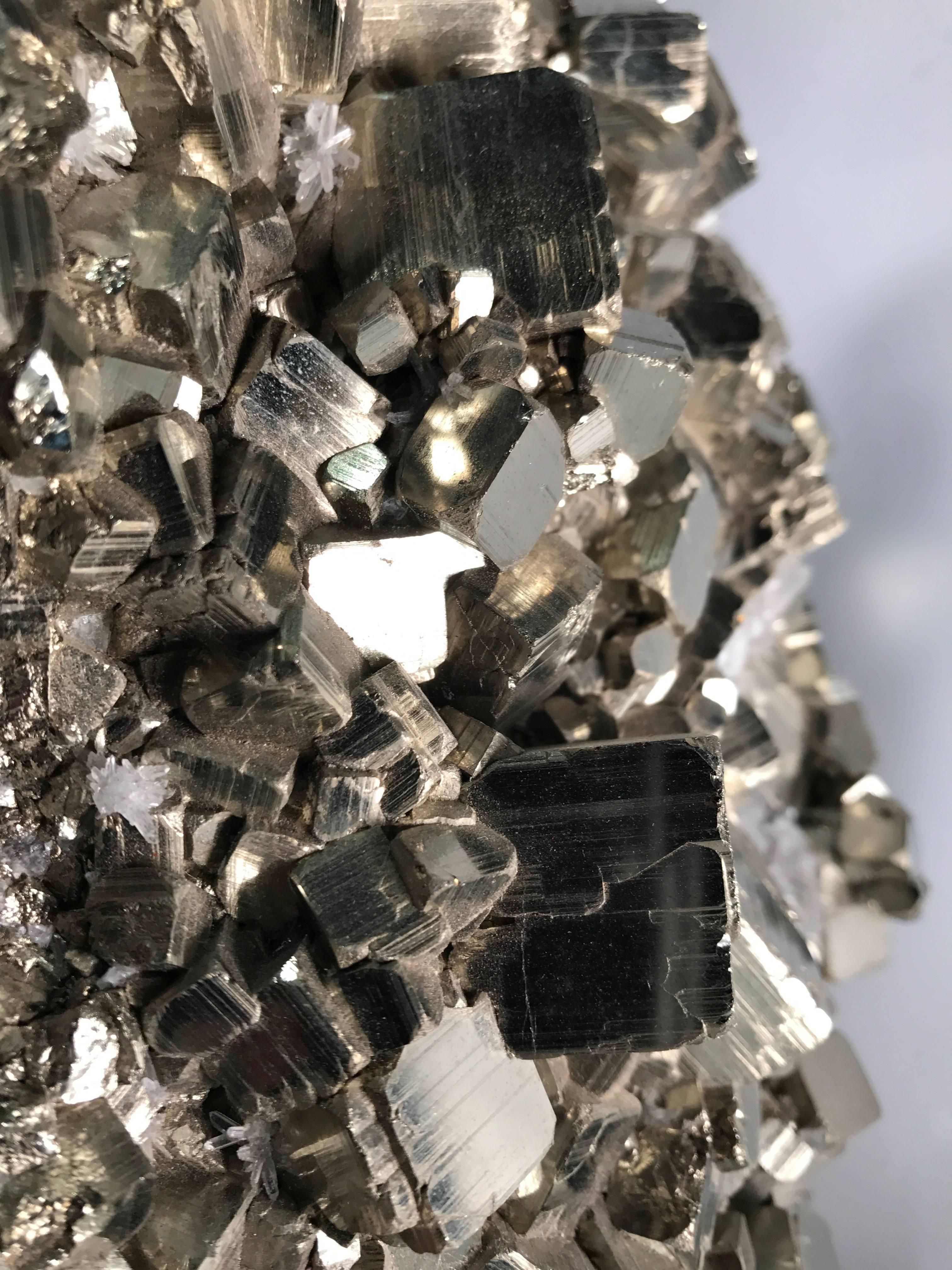 Pyrite Mineral Specimen on a black painted metal custom stand with small points of quartz attached.
Pyrite was given the name 