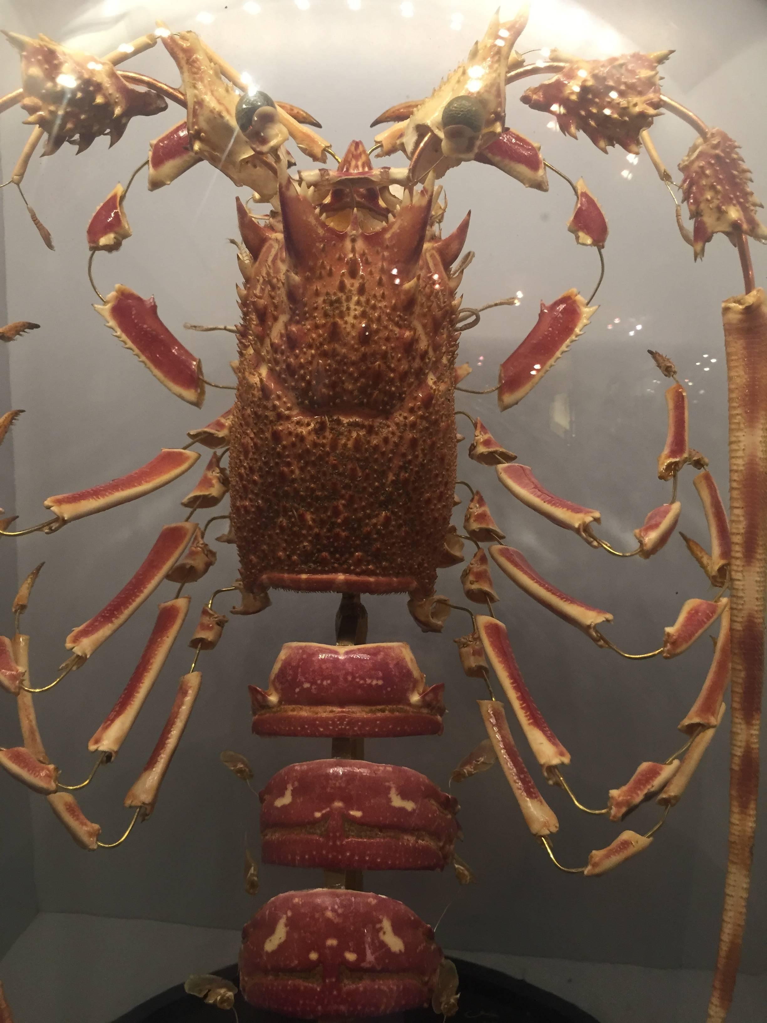 mounted lobster