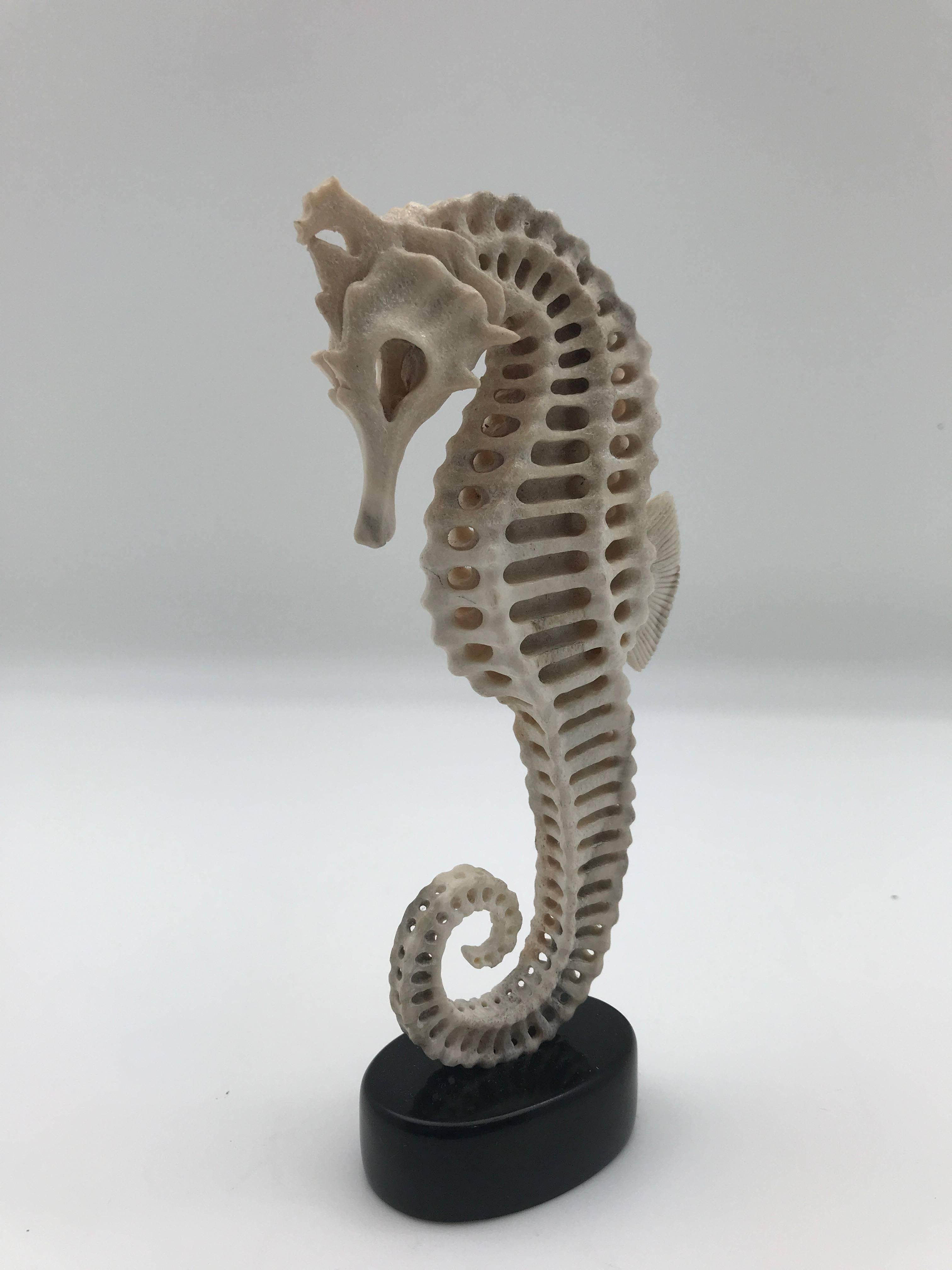 Grand Tour Large Mounted Seahorse Carved from North American Moose Antler