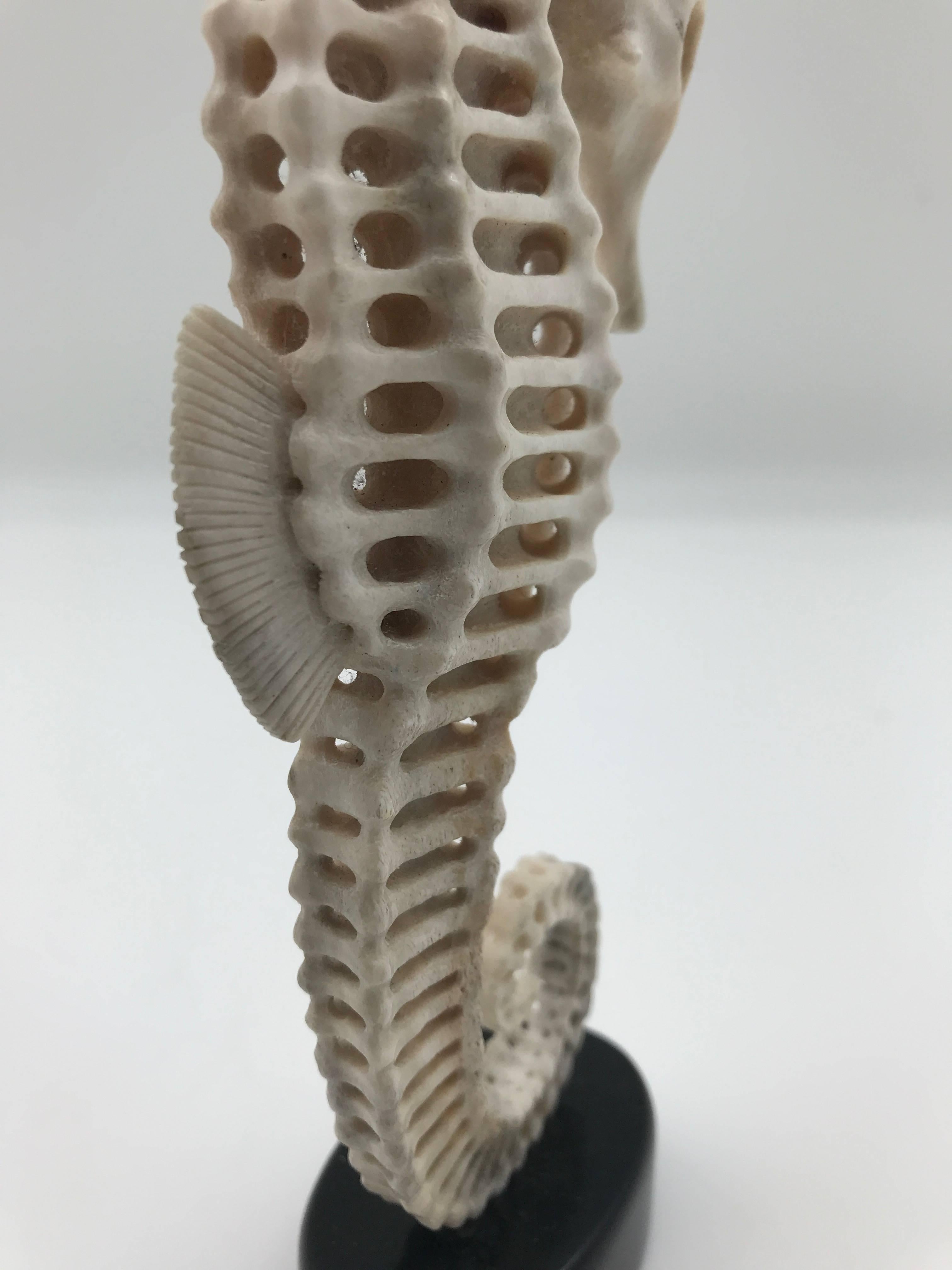 Large Mounted Seahorse Carved from North American Moose Antler In Excellent Condition In New York, NY