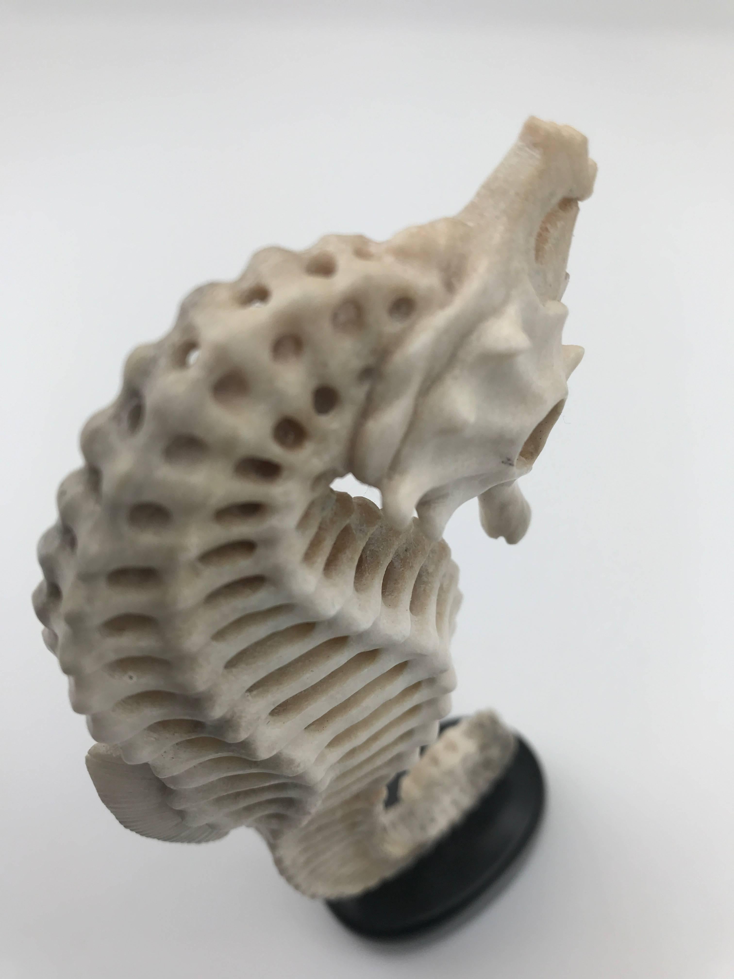 Contemporary Large Mounted Seahorse Carved from North American Moose Antler