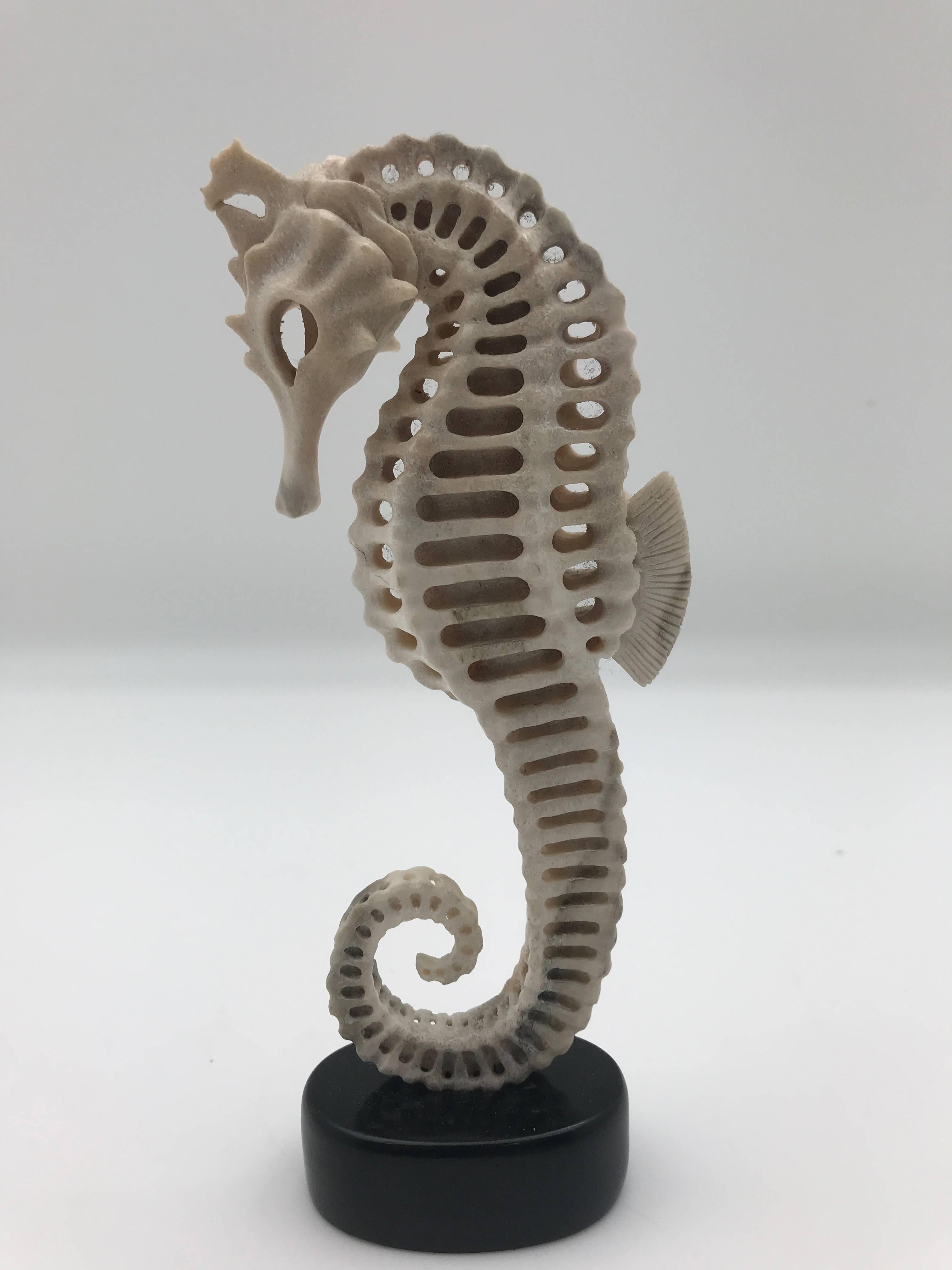 Large Mounted Seahorse Carved from North American Moose Antler 1