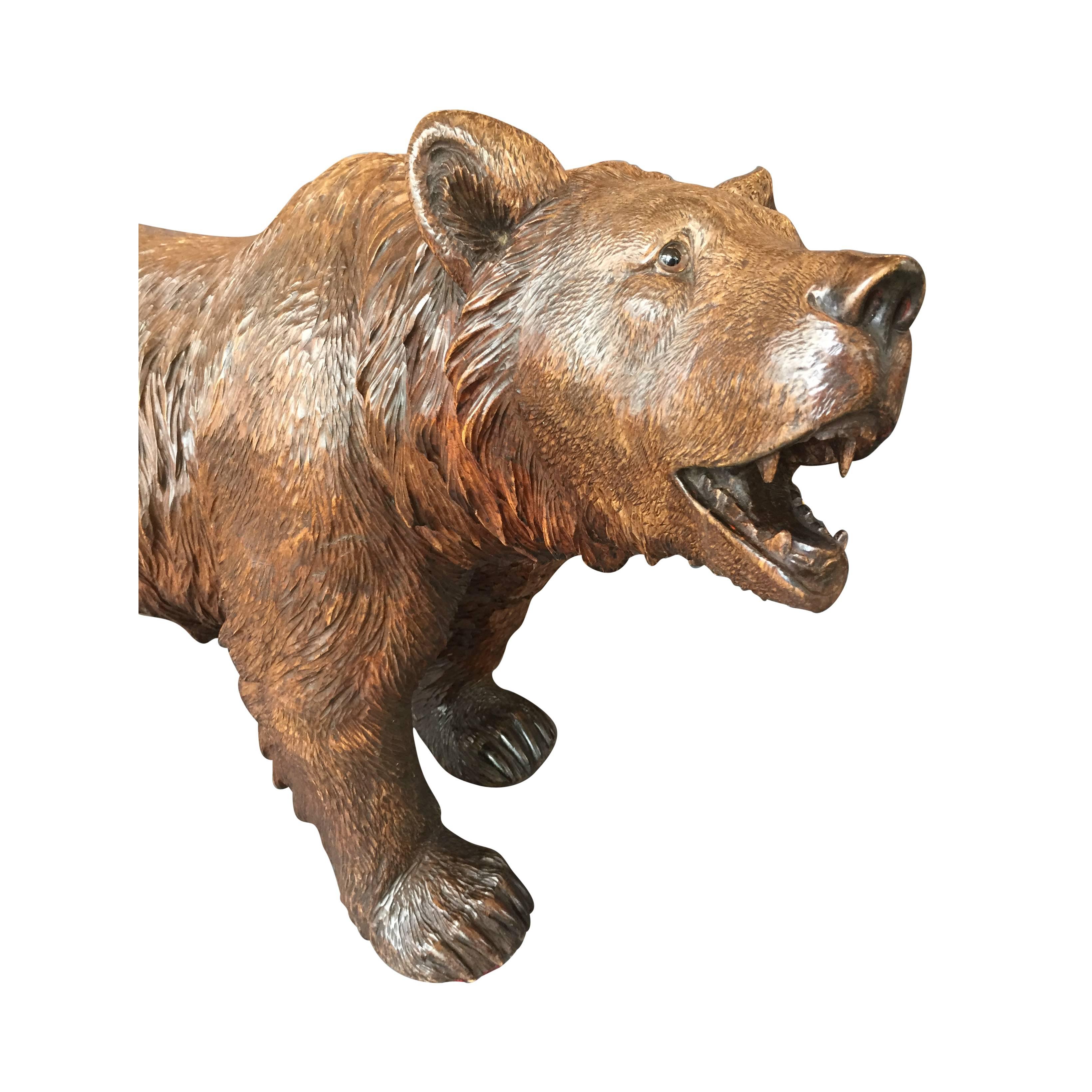 This is a magnificent Swiss Black Forest carved bear from the late 19th century. This large bear has glass eyes, a technique employed by some of the most skilled carvers. The fur is finely detailed and creates a movement to the piece.

This