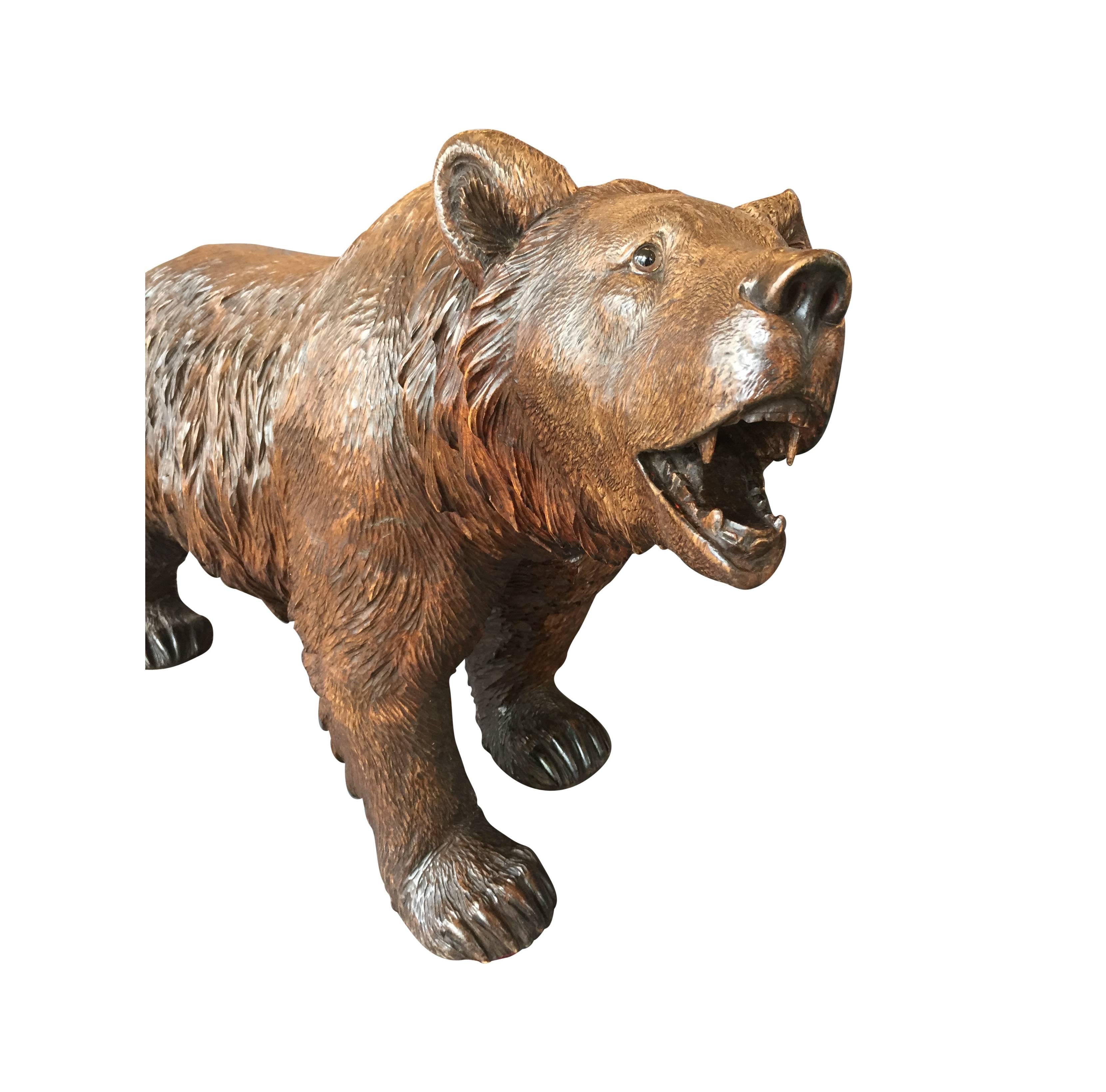 Late 19th Century Swiss Black Forest Strolling Bear Carving In Good Condition In Aspen, CO
