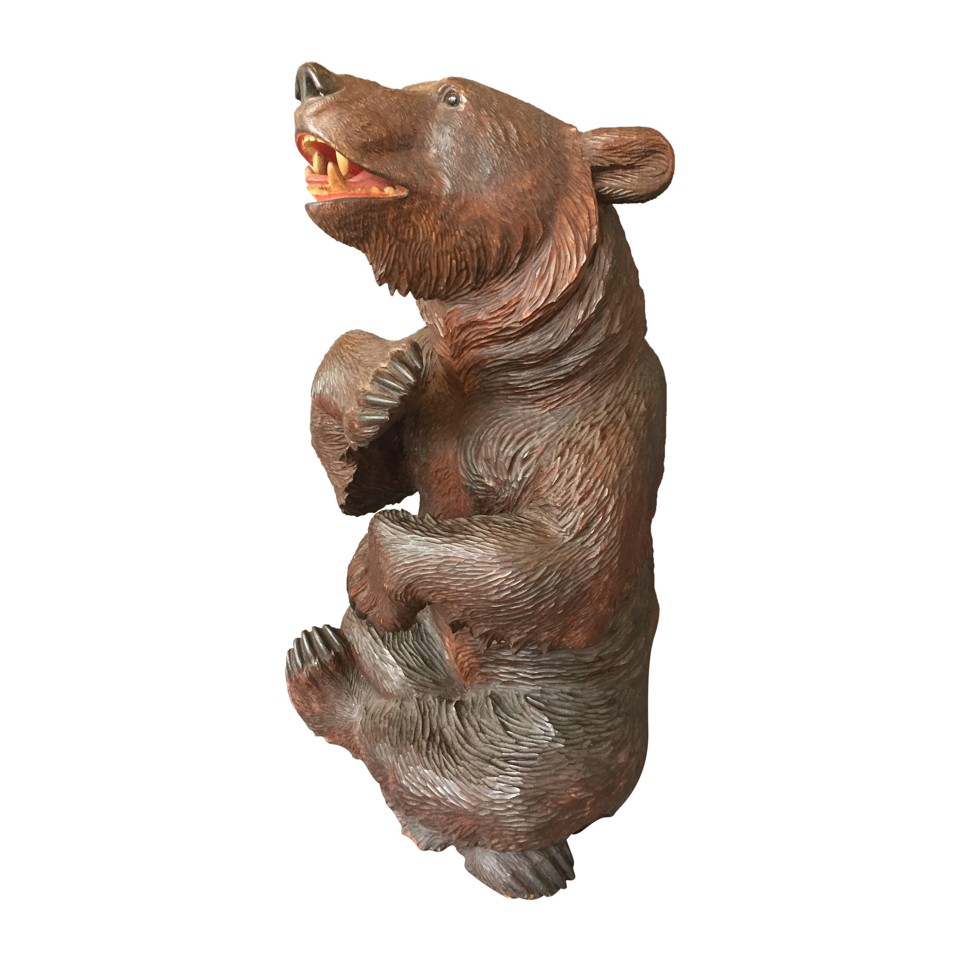 This is a wonderful Swiss Black Forest linden wood carving modeled after a seated bear. It features glass eyes and a hand-painted mouth. Swiss Black Forest bear carvings were popular amongst Victorian tourists, as they were a familiar animal to both