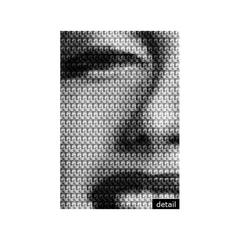 Marilyn vs. Brigitte, 2009, by Alex Guofeng Cao